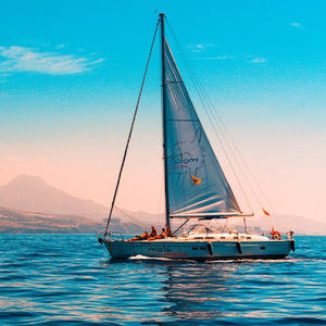 Meet your Posher, Desi